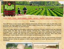 Tablet Screenshot of karls.pl